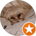 Ken P. profile picture